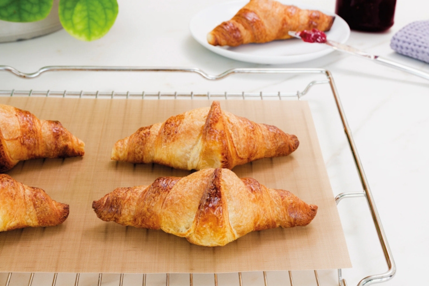 Tappeto in silicone contro la carta pergamena: che è meglio? | Peroni Srl