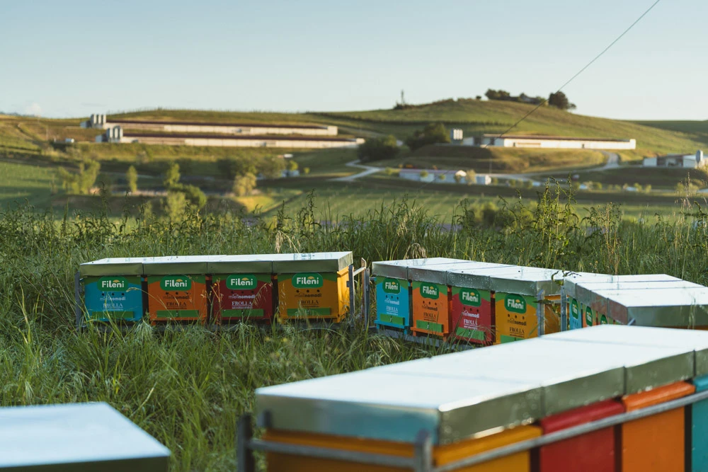Progetto Fileni “Il buon miele non mente”